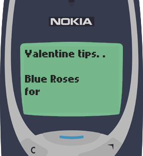 Text Message 2902: Valentine tips in Nokia 3310